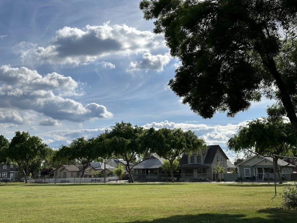 neighborhood with grass and trees in foreground