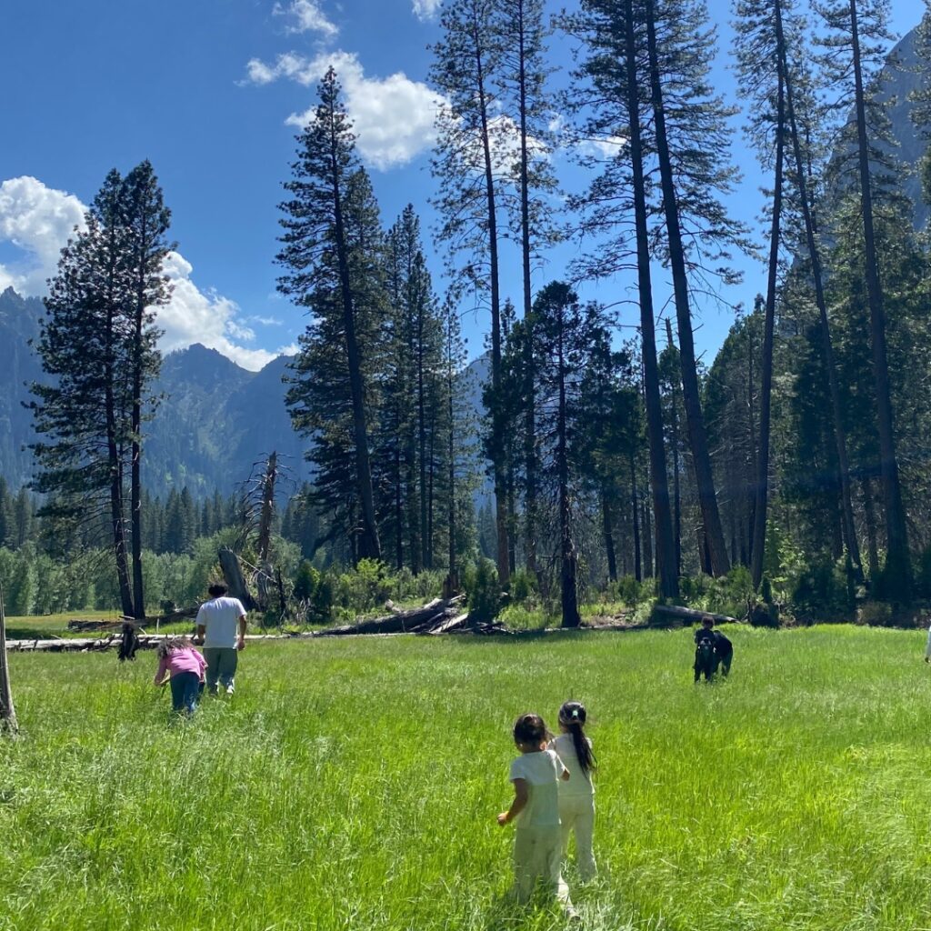 photo of people standing in field with trees and blue sky in background