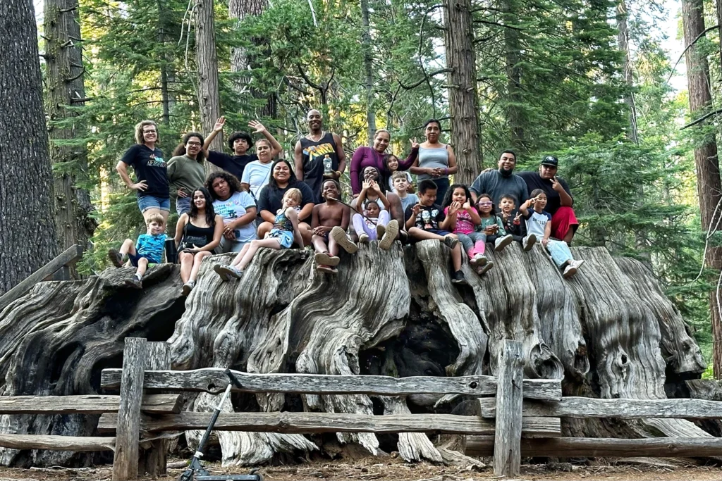 group of about 25 people sitting on very large sequioa tree stump