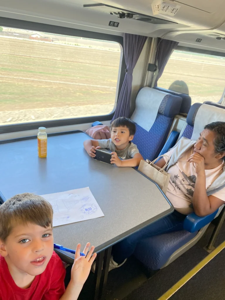 two boys sitting at a table with a woman aboard a train, farmland is visible in the window