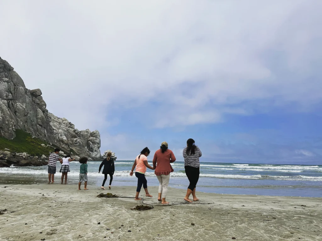 group of people walking on the beach facing the ocean