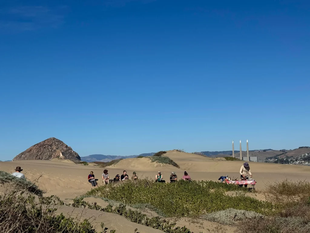 group of people sitting in the sand dunes eating