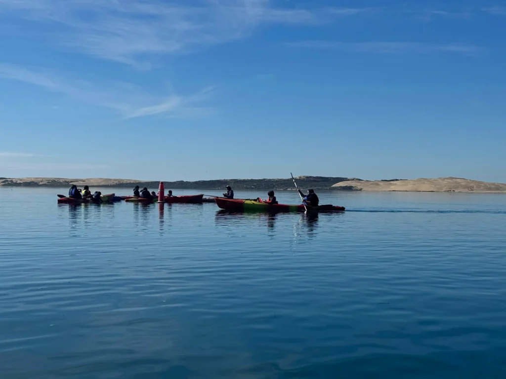 group of 4 kayaks each with people in them in calm water paddling around a bouy
