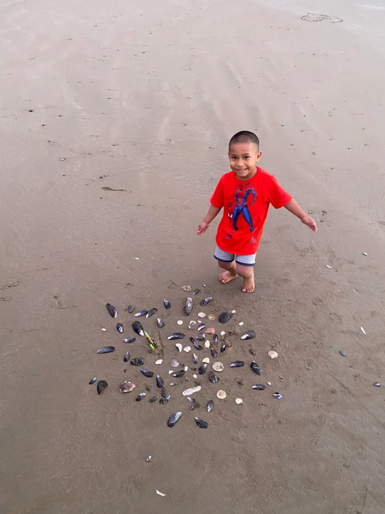 smiling kid with collection of shells placed in the sand in front of him