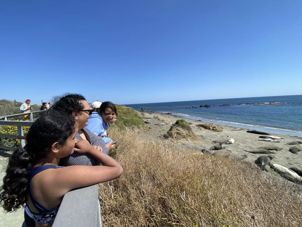 people with arms over railing over looking ocean and beach